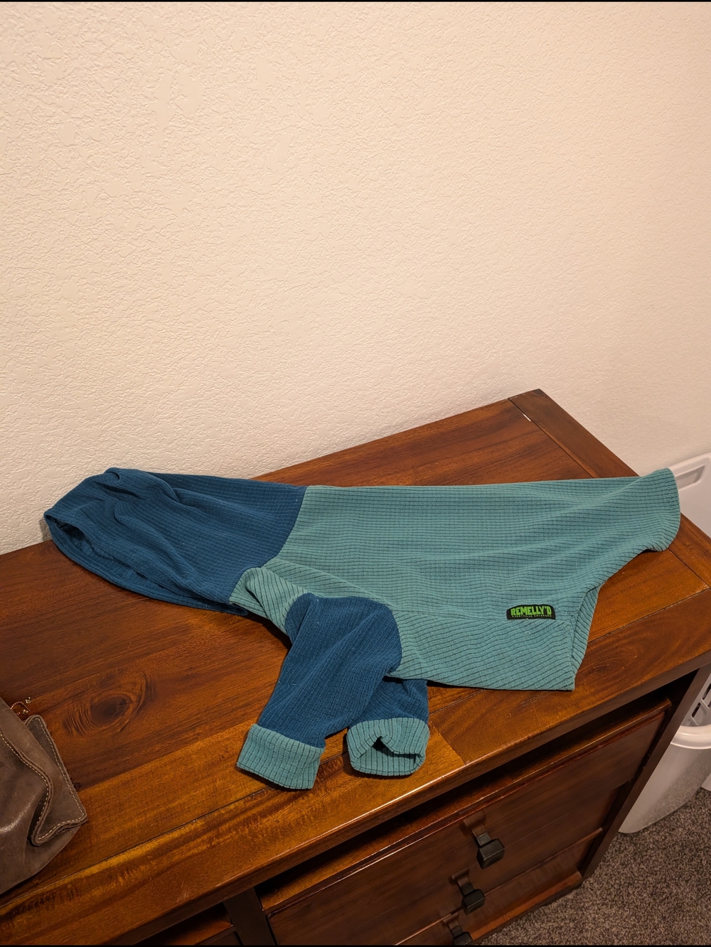 Remelly'd Dog Melanzana Hoodie – Size Large 🐾🏔️